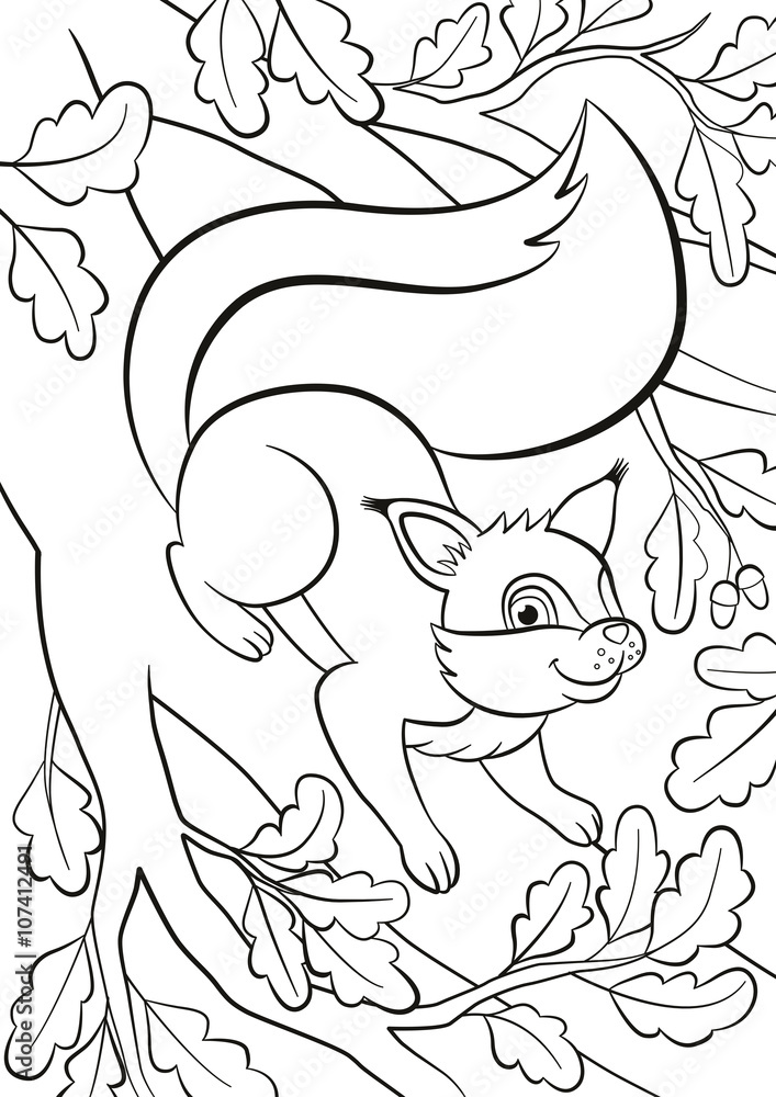 Fototapeta premium Coloring page. Little cute squirrel stands on the bunch of the oak tree and smiles.