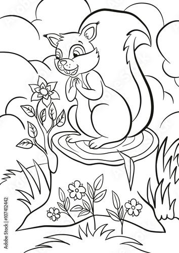 Coloring page. Little cute squirrel stands on the stump and looks at the beautiful flower. Flower grows from the stump. There are bushes, grass and flowers around.