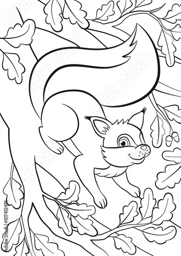 Coloring page. Little cute squirrel stands on the bunch of the oak tree and smiles.