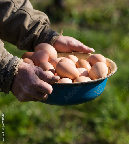 Farmer holding eggs