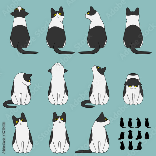 Set of cat sitting poses
