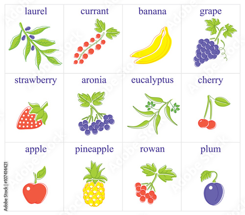 Types of Berries