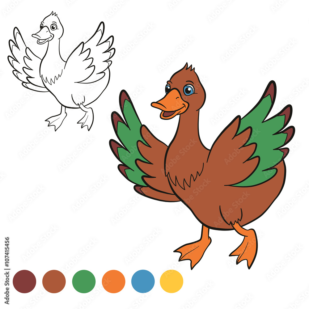 Fototapeta premium Coloring page. Color me: duck. Cute duck runs and smiles. It waves her wings.