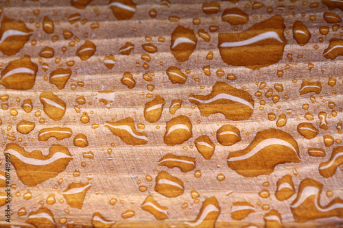 Drops on wooden background