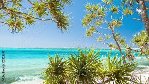 Mystery Island Vanuatu Tropical Beachfront Vibrant Scene with Indigenous Plants in a Colorful Sunshine Nature Setting photo