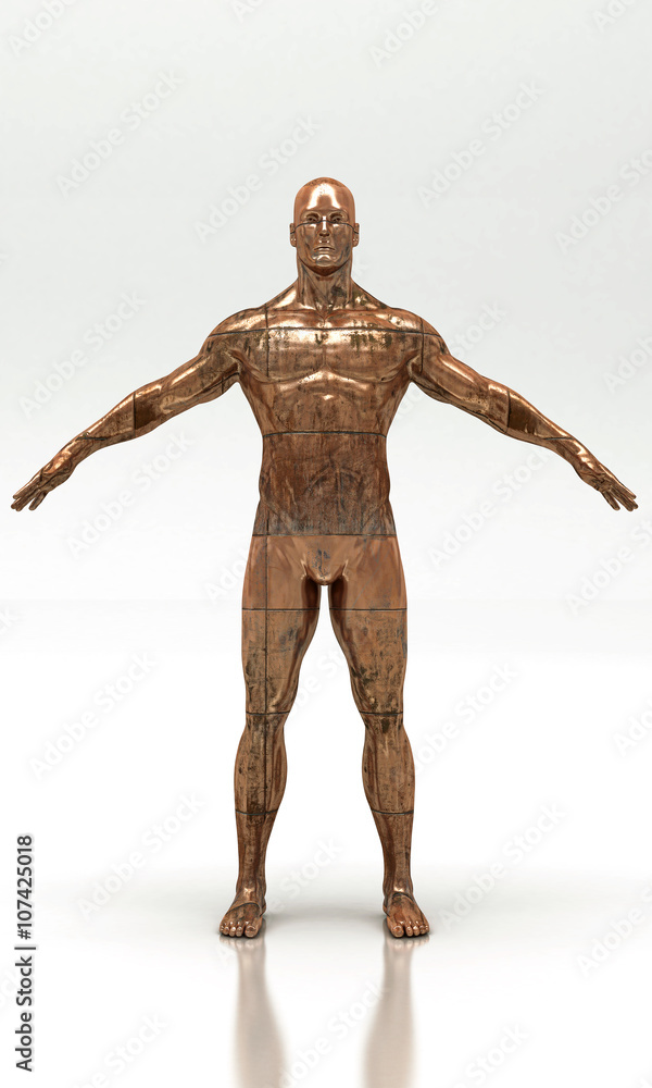 Busto, Anatomia Umana, Scultura Stock-Illustration