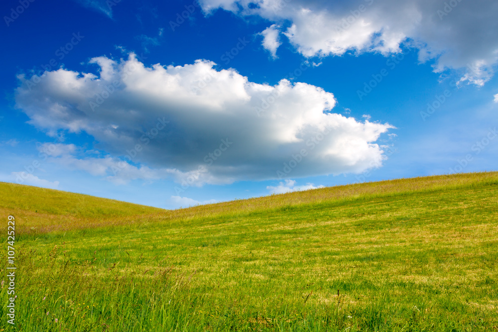 Field of grass and  blue sky: