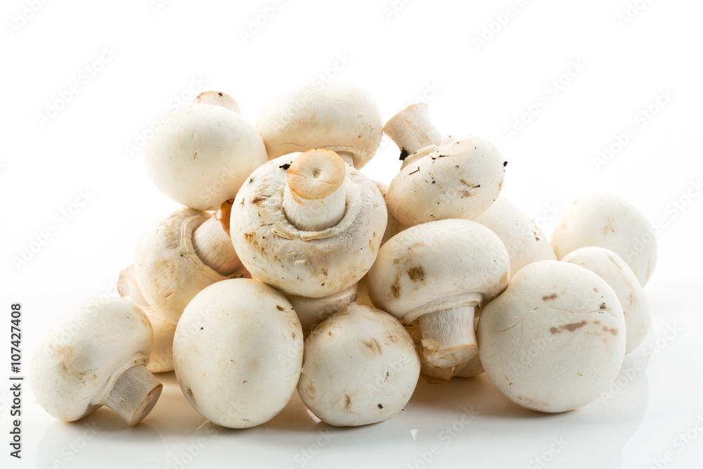 Champignons, weißer Hintergrund Champignons, weißer Hintergrund