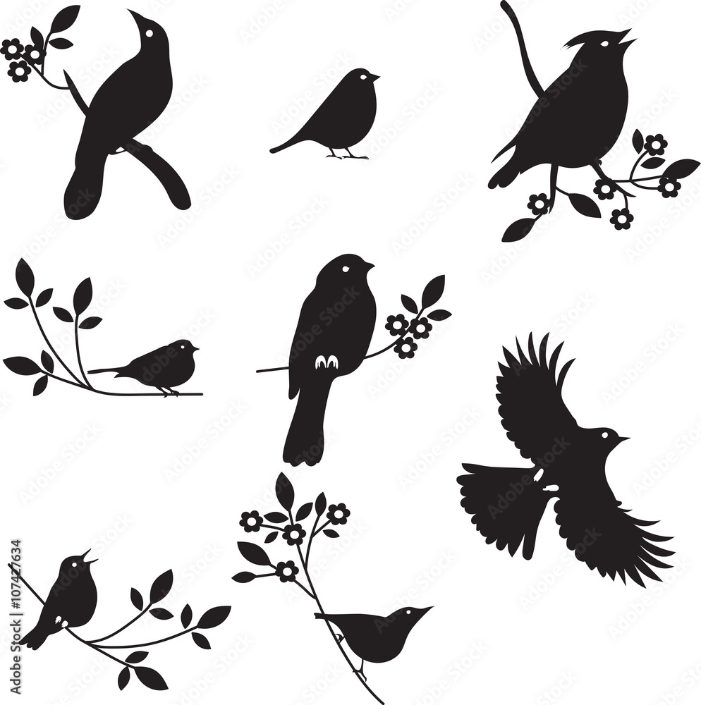 Vector Collection of Bird Silhouettes Vector Collection of Bird Silhouettes