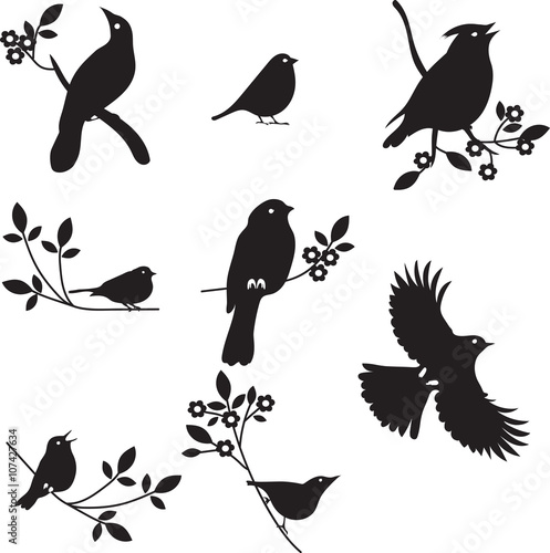 Vector Collection of Bird Silhouettes