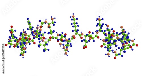 Molecular structure of Ghrelin