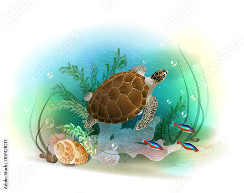 Sea turtle swims in the ocean. Illustration of the tropical unde