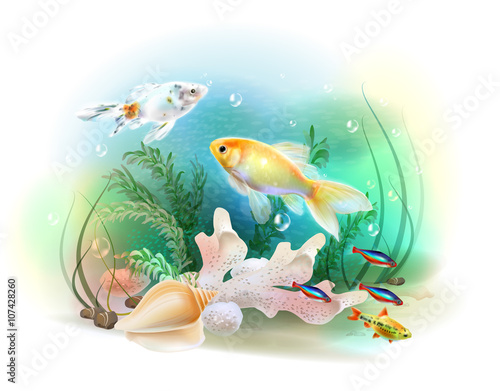 Illustration of the tropical underwater world. Aquarium fish.
