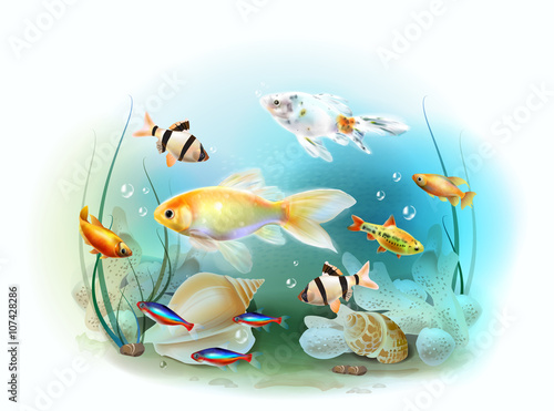 Illustration of the tropical underwater world. Aquarium fish.