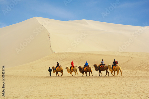 Group of tourists are riding camels in the desert at Mingsha Mountain in Dunhuang, China.