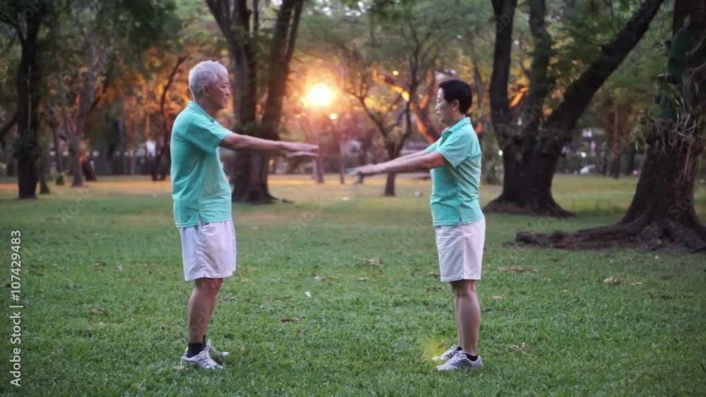 Video of Asian Senior Elderly couple Practice Taichi, Qi Gong exercise outdoor in the park. Abstract love health and nature Video of Asian Senior Elderly couple Practice Taichi, Qi Gong exercise outdoor in the park. Abstract love health and nature