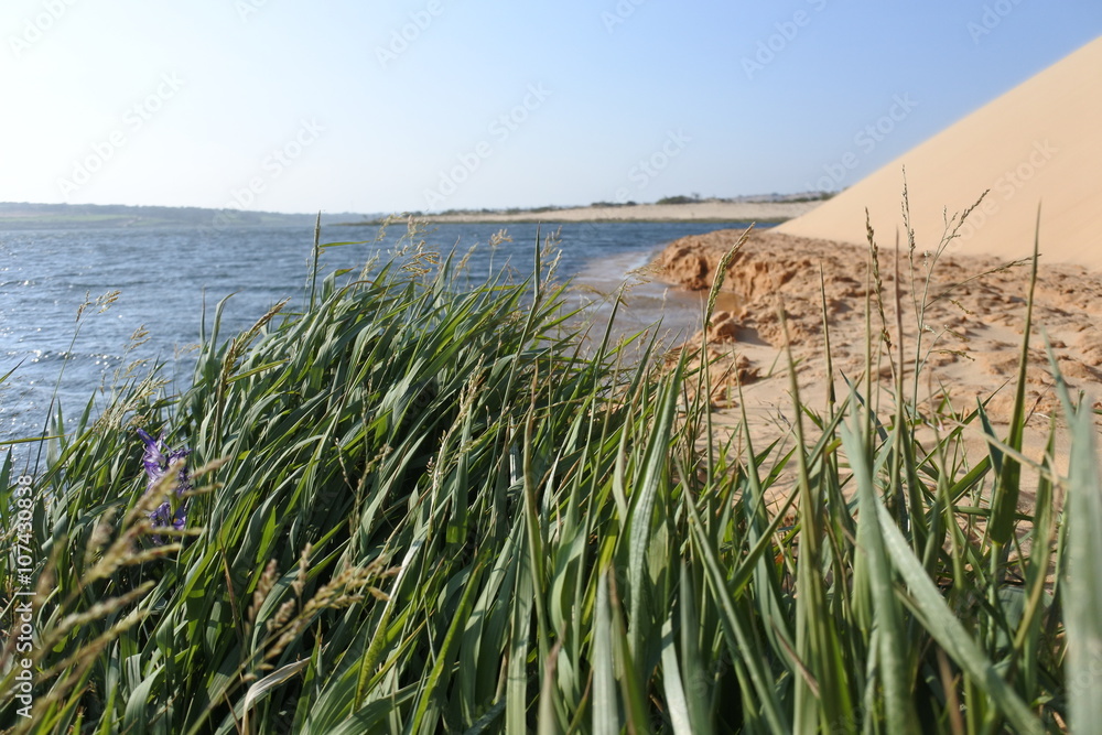 See an den weißen Dünen in Mui Ne See an den weißen Dünen in Mui Ne