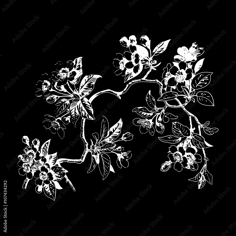 Botanical branches with leaves and flowers on white background.