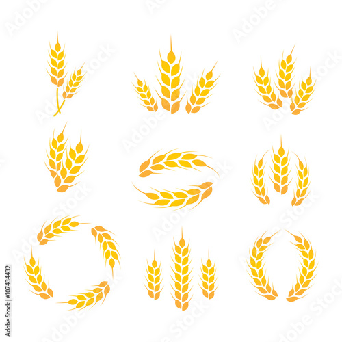 Wheat icon set vector