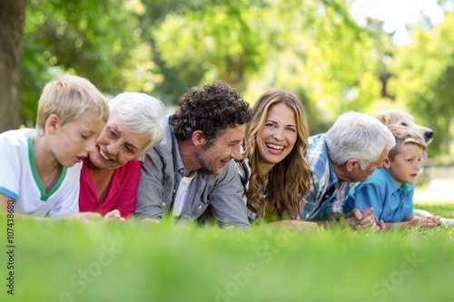 Family with dog lying on the grass in the park on a sunny day