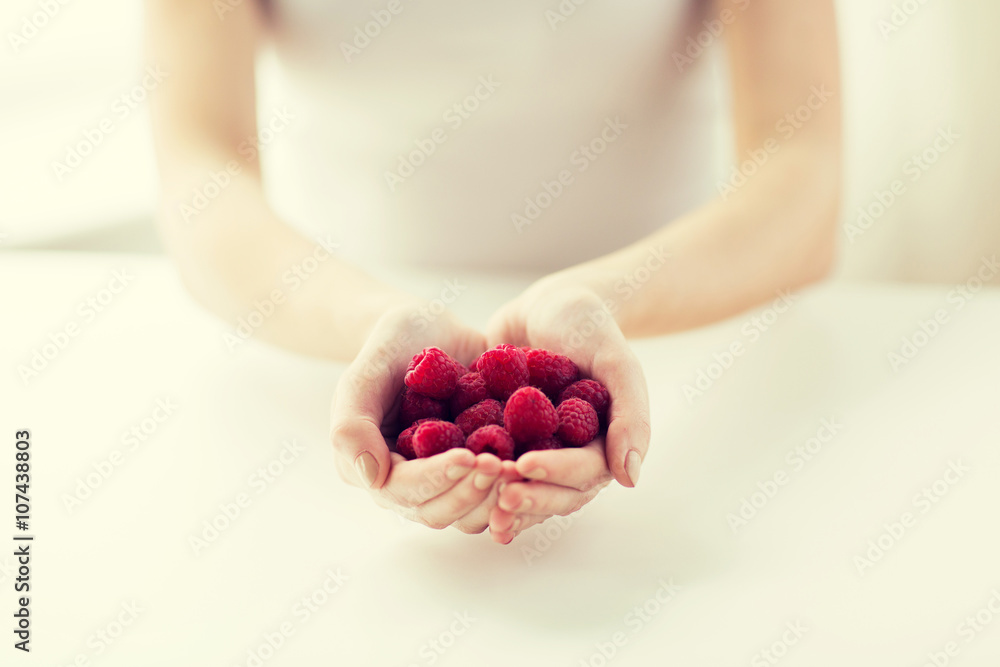 close up of woman hands holding raspberries close up of woman hands holding raspberries