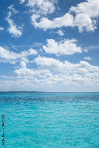 white tropical beach in the caribbean sea © Tommaso Lizzul