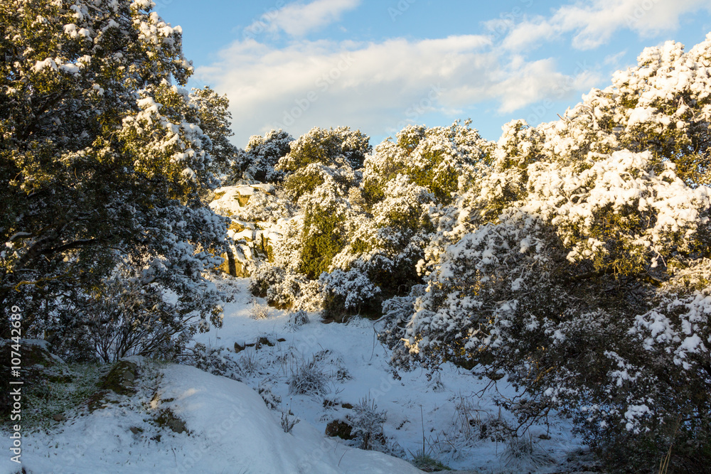snowy landscape with blue sky and white clouds snowy landscape with blue sky and white clouds