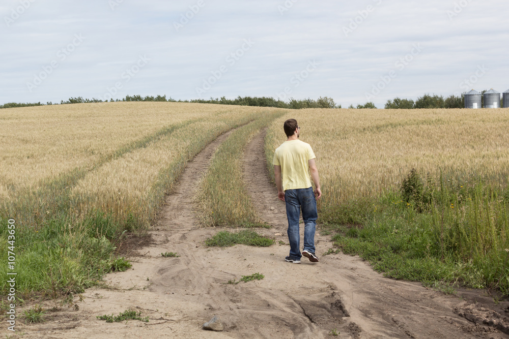 young boy walking down a trail through a wheat field