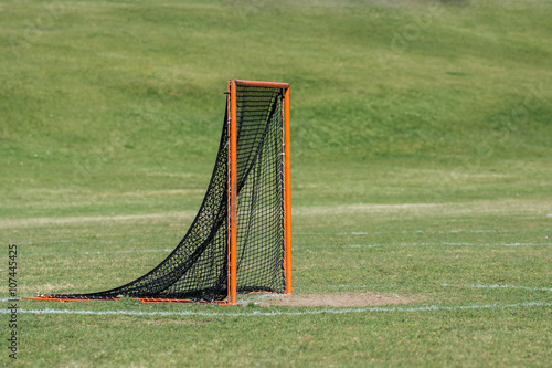 Single lacrosse goal with green grass background