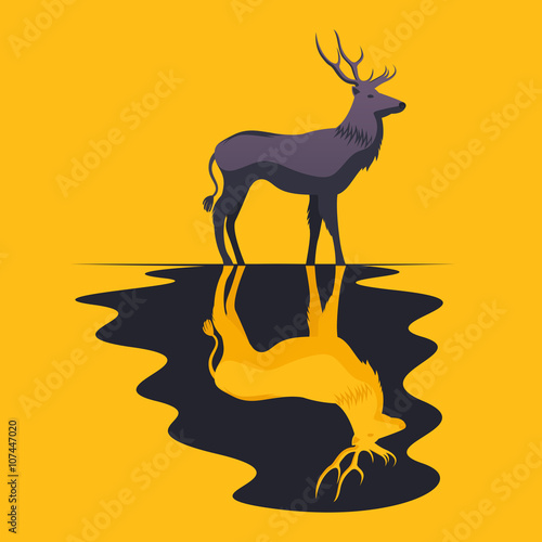 Deer with Shadow and Reflection