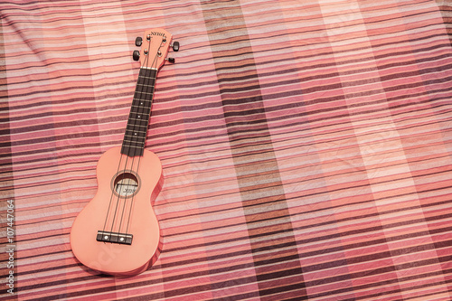 ukulele photo