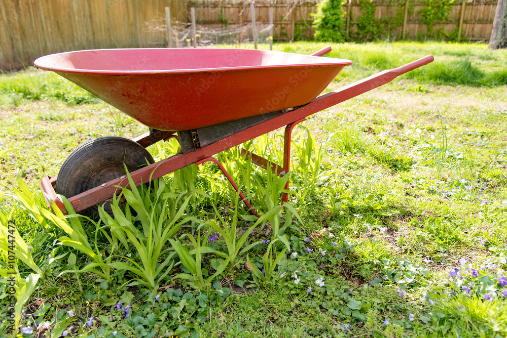 Old Wheelbarrow in sunny back yard in tall grass and weeds. Old Wheelbarrow in sunny back yard in tall grass and weeds.
