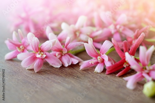 beautiful spring pink floral on wood background with empty space for text