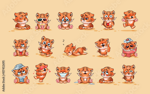 Set of Tiger cubs