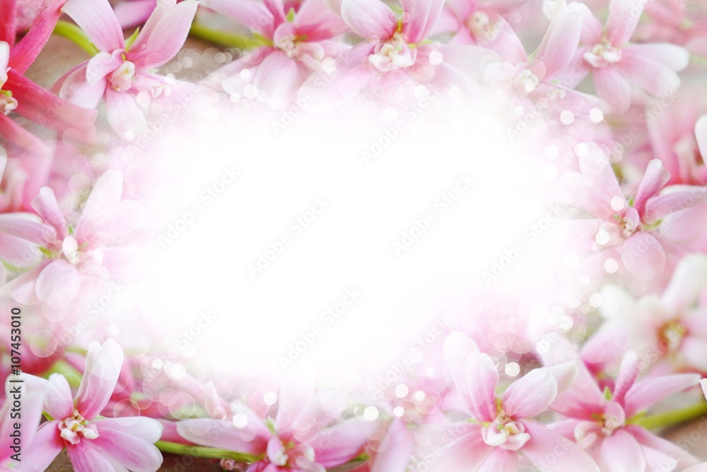 beautiful pink flower border abstract bokeh on white background in pastel tone beautiful pink flower border abstract bokeh on white background in pastel tone