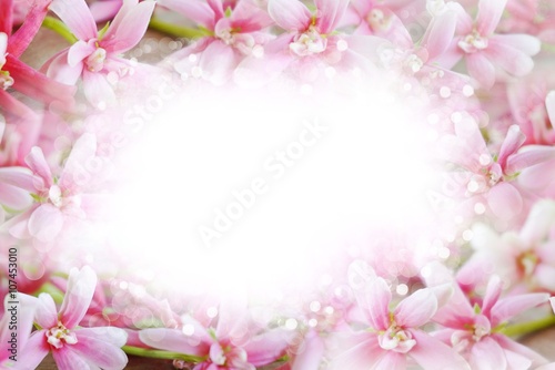 beautiful pink flower border abstract bokeh on white background in pastel tone 