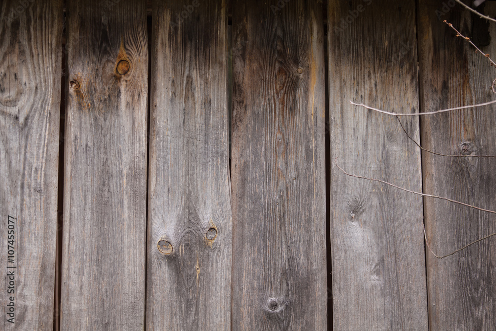 texture wood texture wood