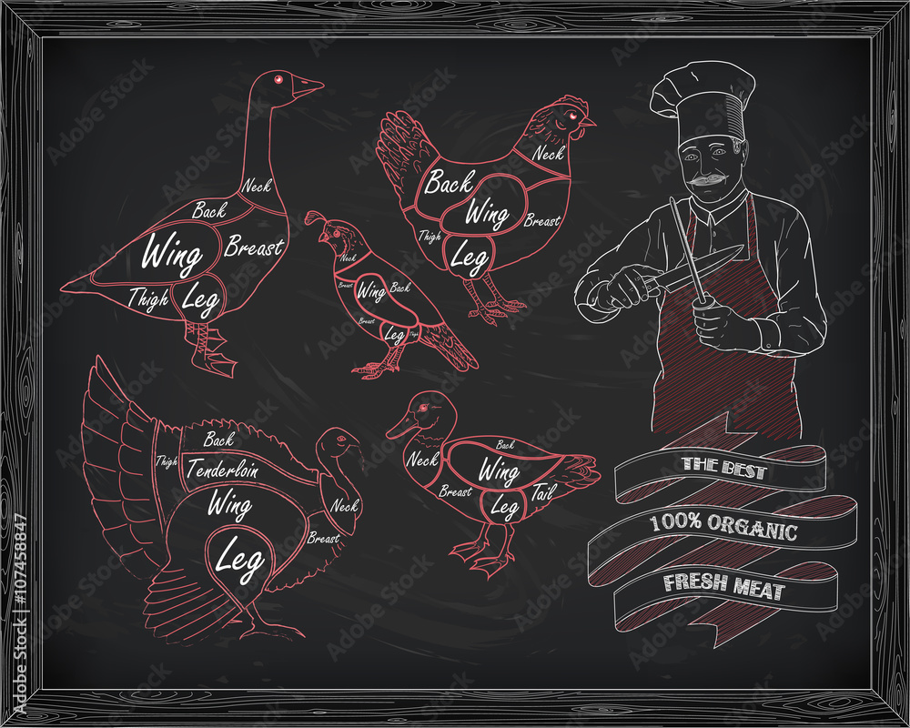 beautiful scheme cutting chicken turkey duck goose quail with ch beautiful scheme cutting chicken turkey duck goose quail with ch