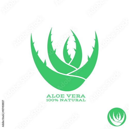Aloe. Abstract green plant 