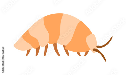 Beetle wood louse exoskeleton armadillo armor insect flat vector. 