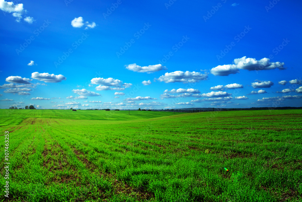 Green Field and Beautiful Sunset Green Field and Beautiful Sunset