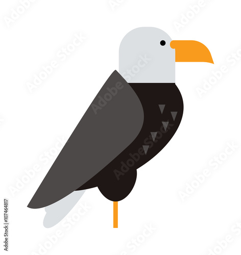 North American bald eagle raptor wildlife bird and hawk predator animal cartoon vector. 