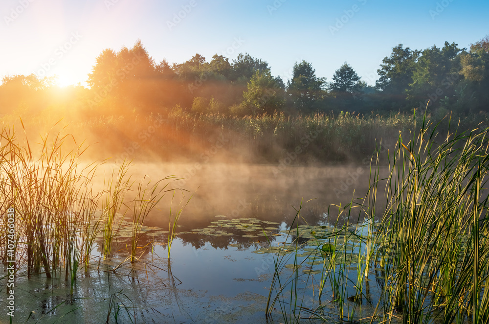 Naklejka premium earlier morning on the river