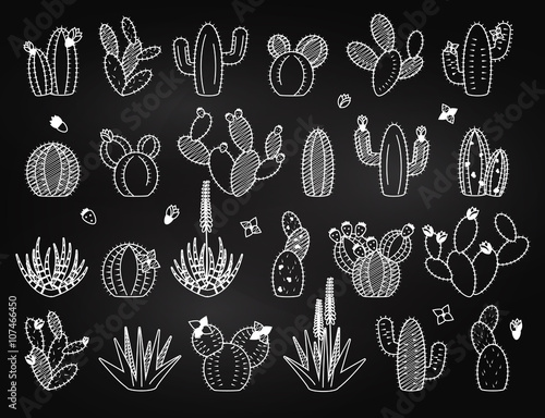 Vector Set of Chalkboard Cactus and Succulent Plants