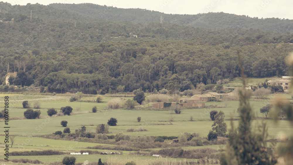 Fototapeta premium Smooth green countryside landscape