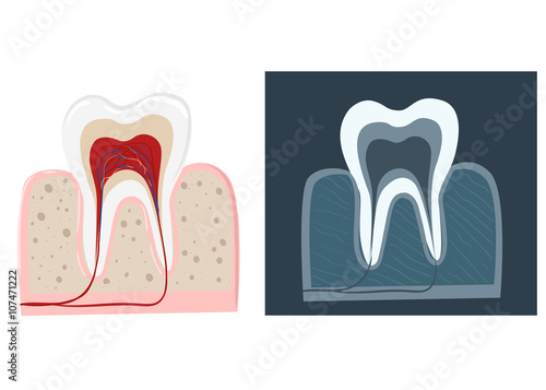 Dental care flat decorative icons set with stomatologist tools teeth care products isolated vector illustration caries clinic prosthetics tooth hygiene dentist tools Stomatologist.