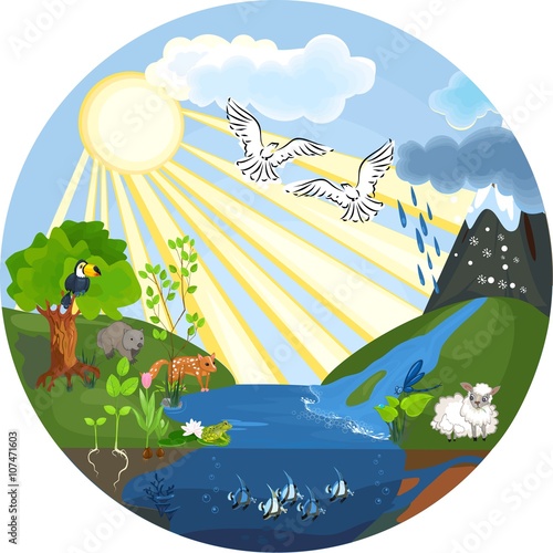 Environment