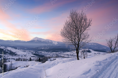 Sunrise in winter mountains . Sunrise in Carpathian Mountains, U © Dolnikov
