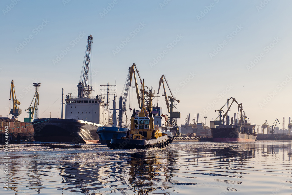 Cargo crane, bulk cargo ships and tugboats in port, Saint Petersburg, Russia