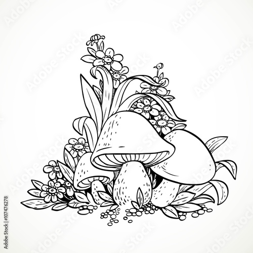 Decorative graphics mushrooms and flowers. Black and white. Colo